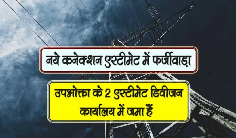 estimate corruption in new electricity connection