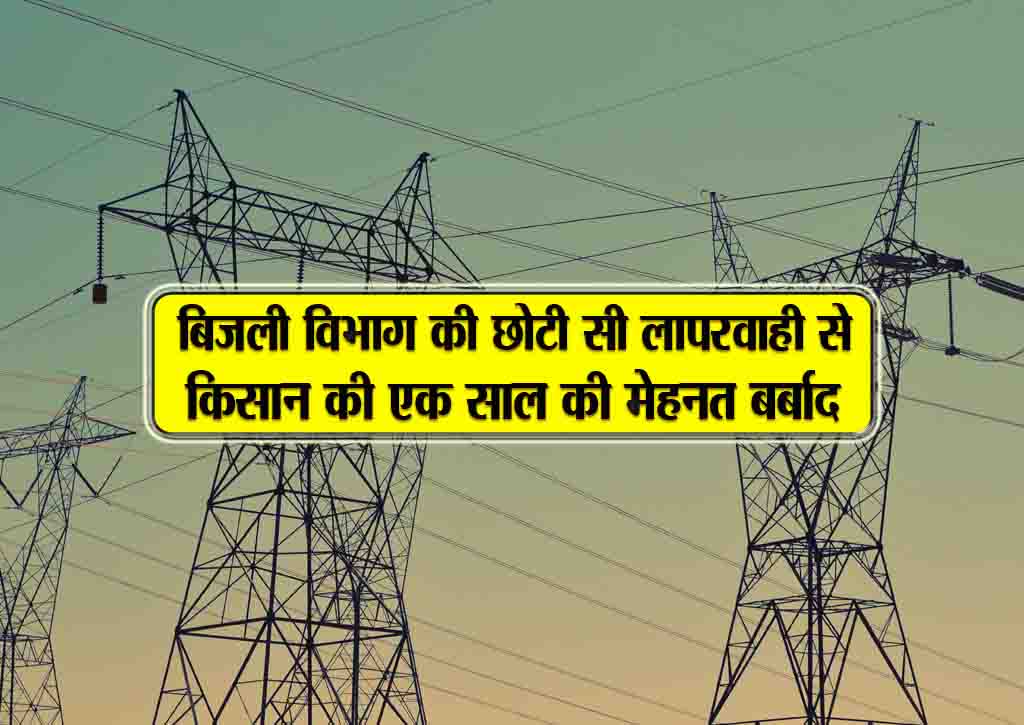 bijli vibhag ki chhoti si laaparwahi se kisaan ki ek saal ki mehnat barbaad