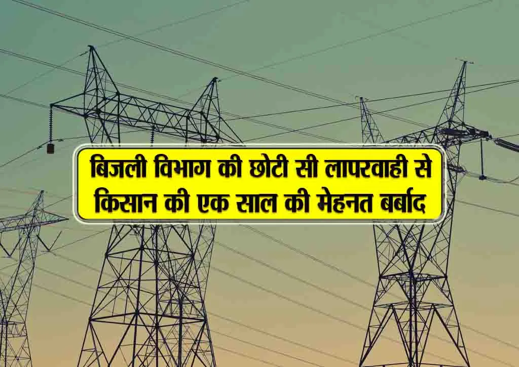 bijli vibhag ki chhoti si laaparwahi se kisaan ki ek saal ki mehnat barbaad